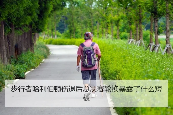 bu-xing-zhe-ha-li-bo-dun-shang-tui-hou-zong-jue-sai-lun-huan-bao-lu-le-shen-me-duan-ban-2-129.jpg