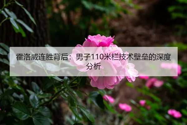 霍洛威连胜背后：男子110米栏技术壁垒的深度分析