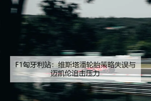 xiong-ya-li-zhan-wei-si-ta-pan-lun-tai-ce-lve-shi-wu-yu-mai-kai-lun-zhui-ji-ya-li-2-264.jpg